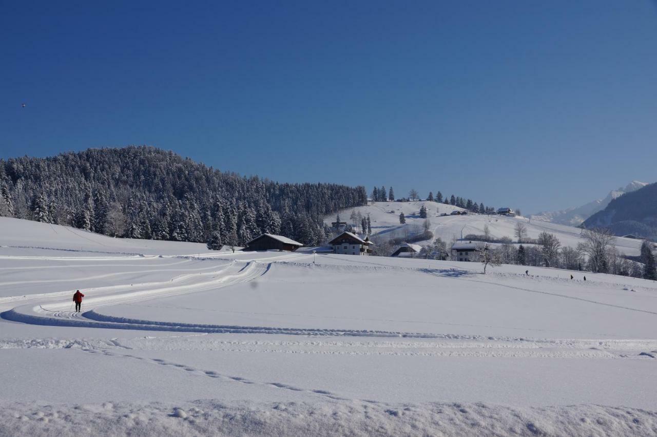 Ferienwohnungen Rettenbacher Abtenau Exterior photo